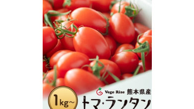 ________ ___ (1)